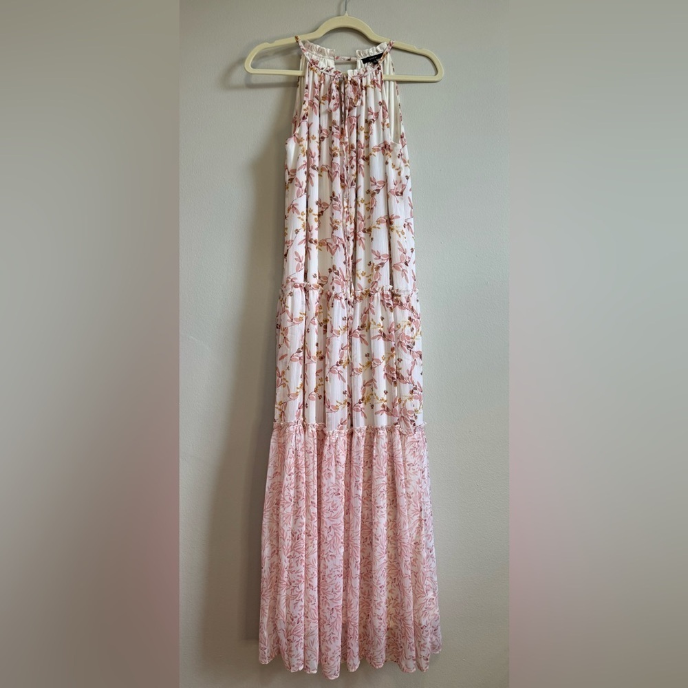 Nwot Anthropologie Drew Naomi Mixed Pink Floral Chiffon Maxi Dress Size S
